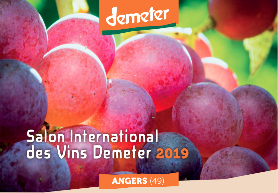 Demeter wines présentation